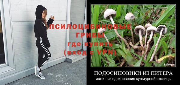 трава Абинск