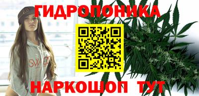 spice Абинск