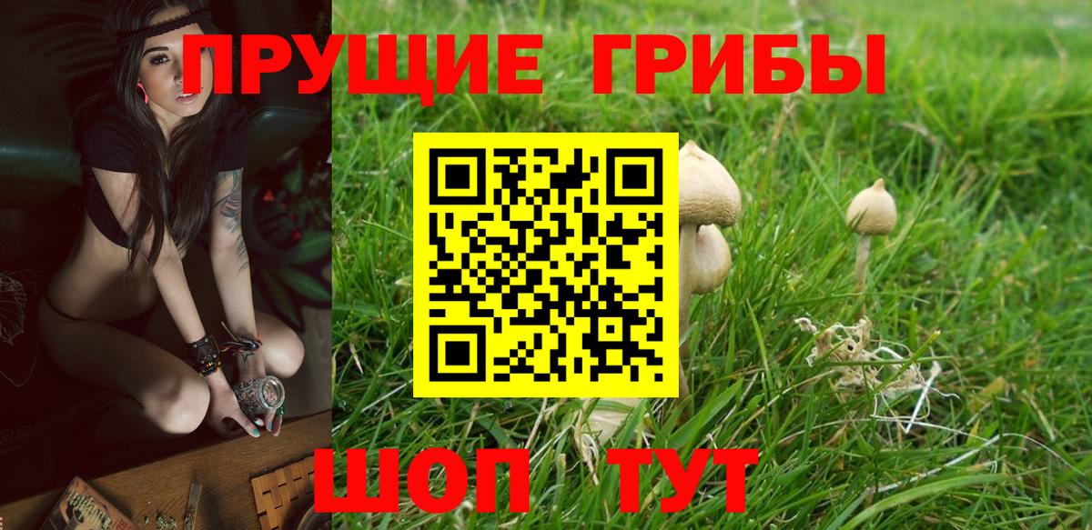 Галлюциногенные грибы Cubensis  Псилоцибиновые грибы Magic Shrooms  купить наркотик  Альметьевск  Вход с VPN 